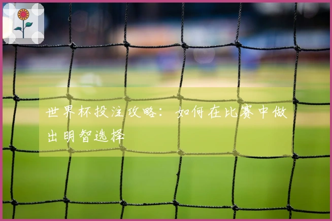 世界杯投注攻略：如何在比赛中做出明智选择