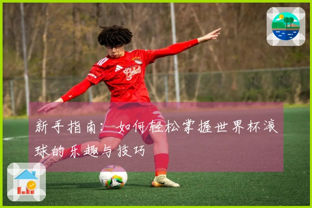 新手指南：如何轻松掌握世界杯滚球的乐趣与技巧