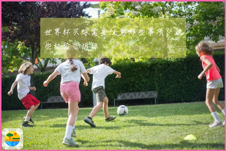 世界杯买球需要注意哪些事项？这些经验告诉你