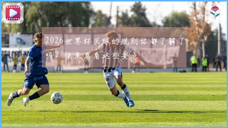 2026世界杯买球的规则你都了解了吗？快来看看这些要点